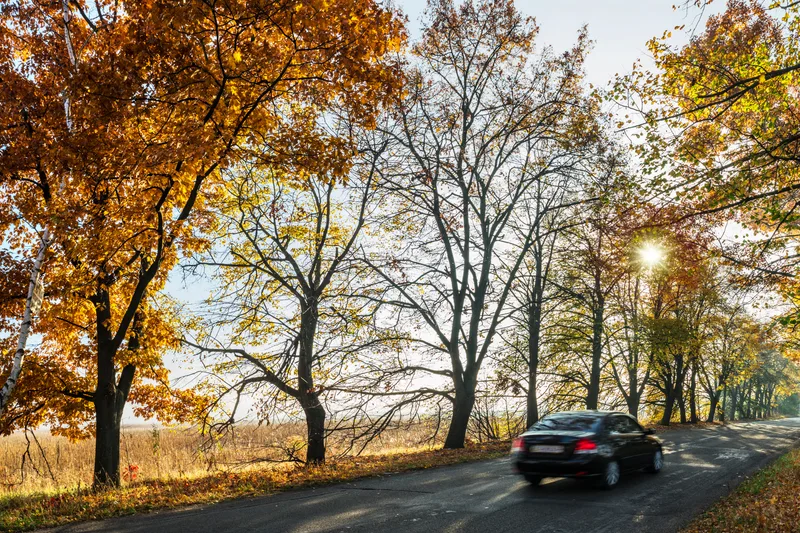 A luxury sedan on a tree-lined country road in autumn