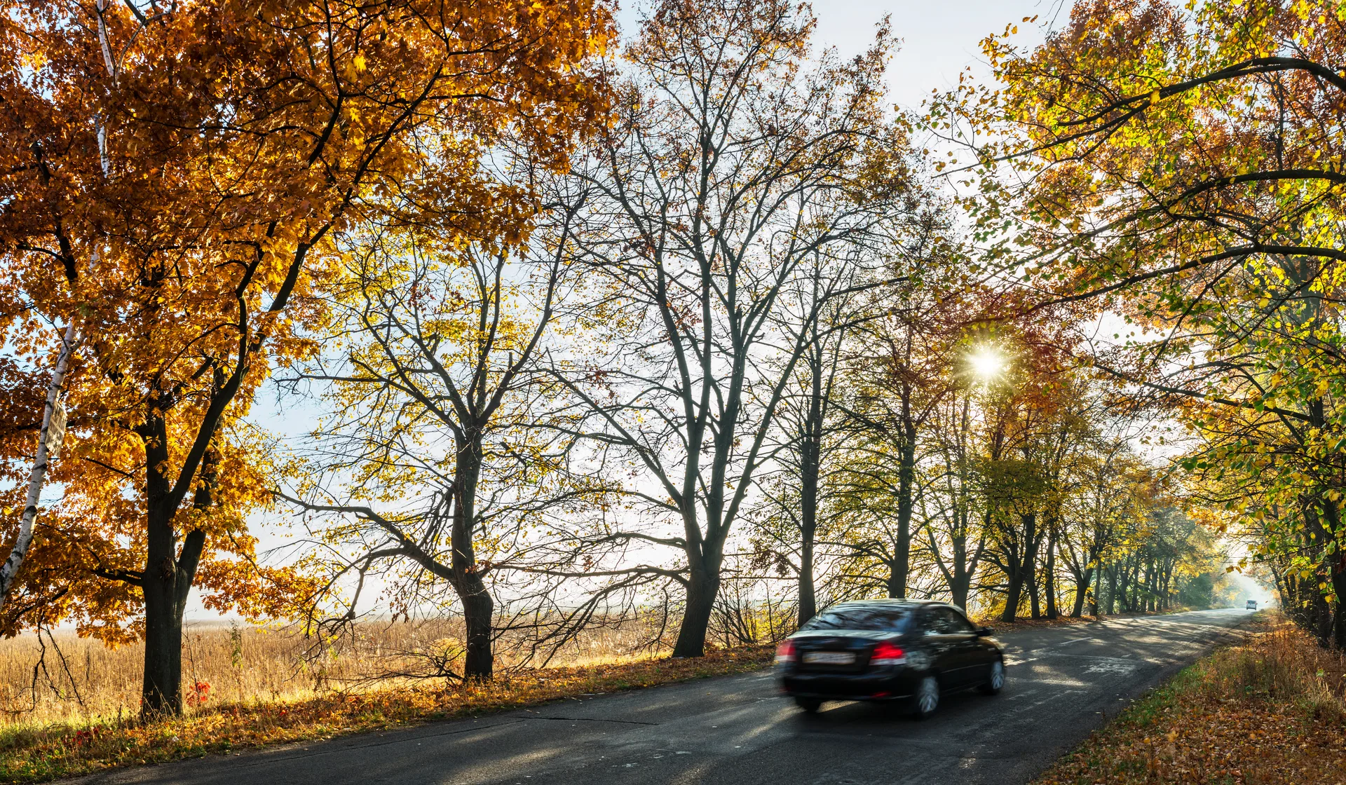 A luxury sedan on a tree-lined country road in autumn