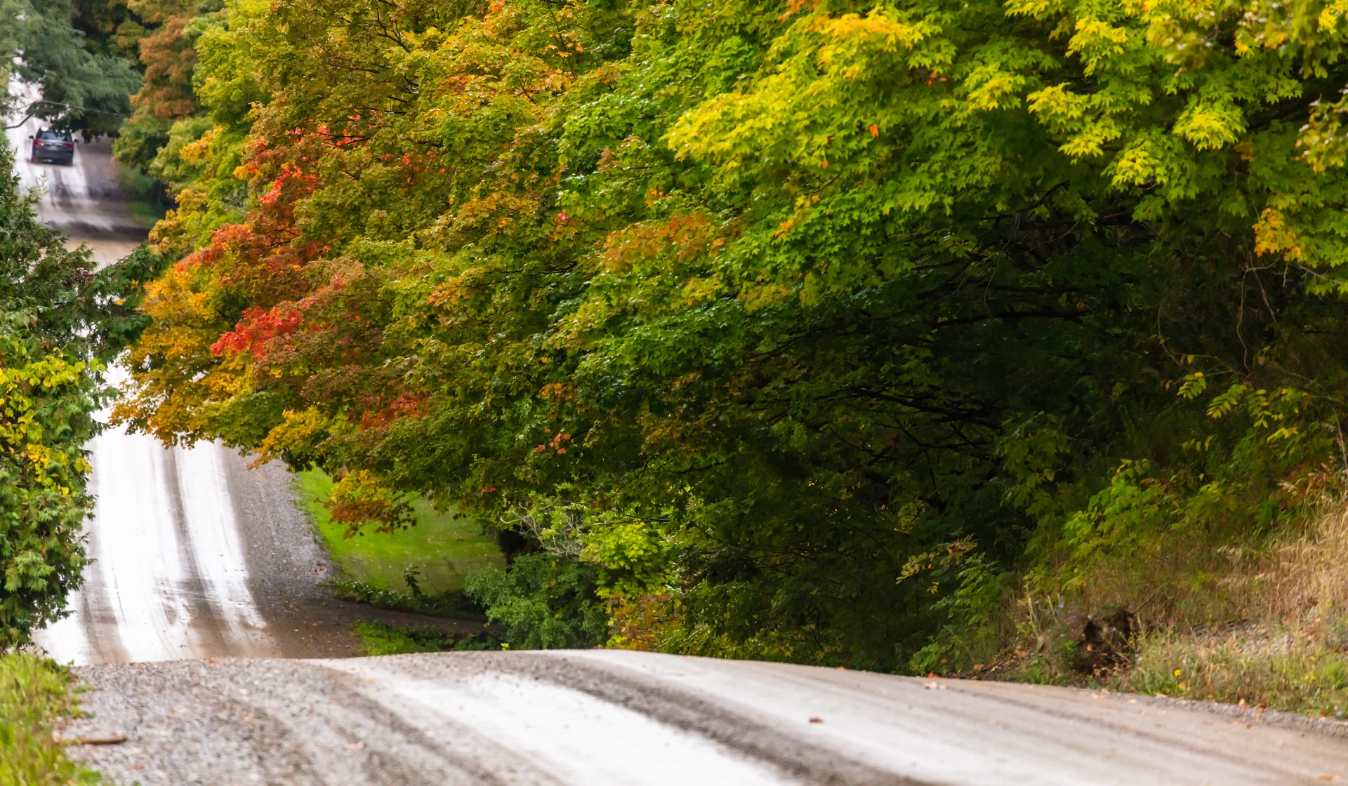 A winding country road through the rolling hills of Caledon