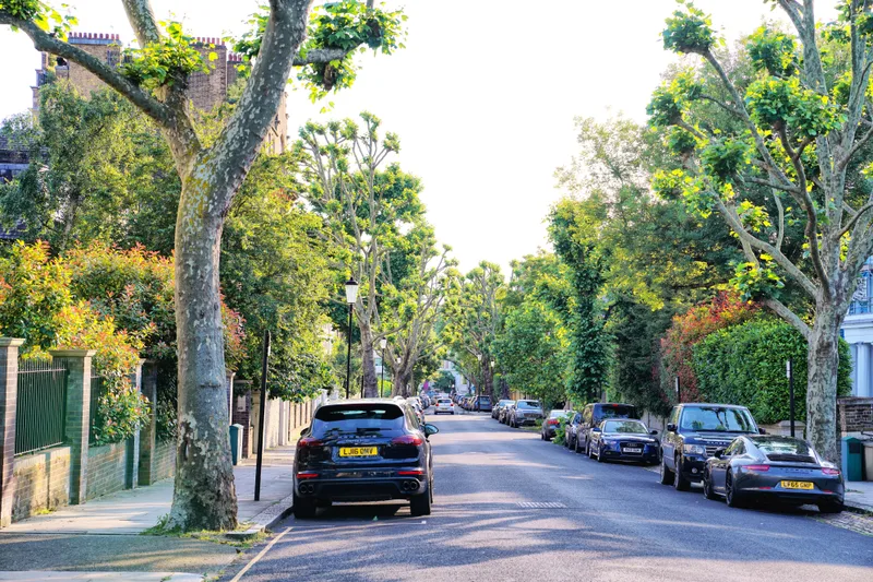 A black luxury car on a tree-lined residential street
