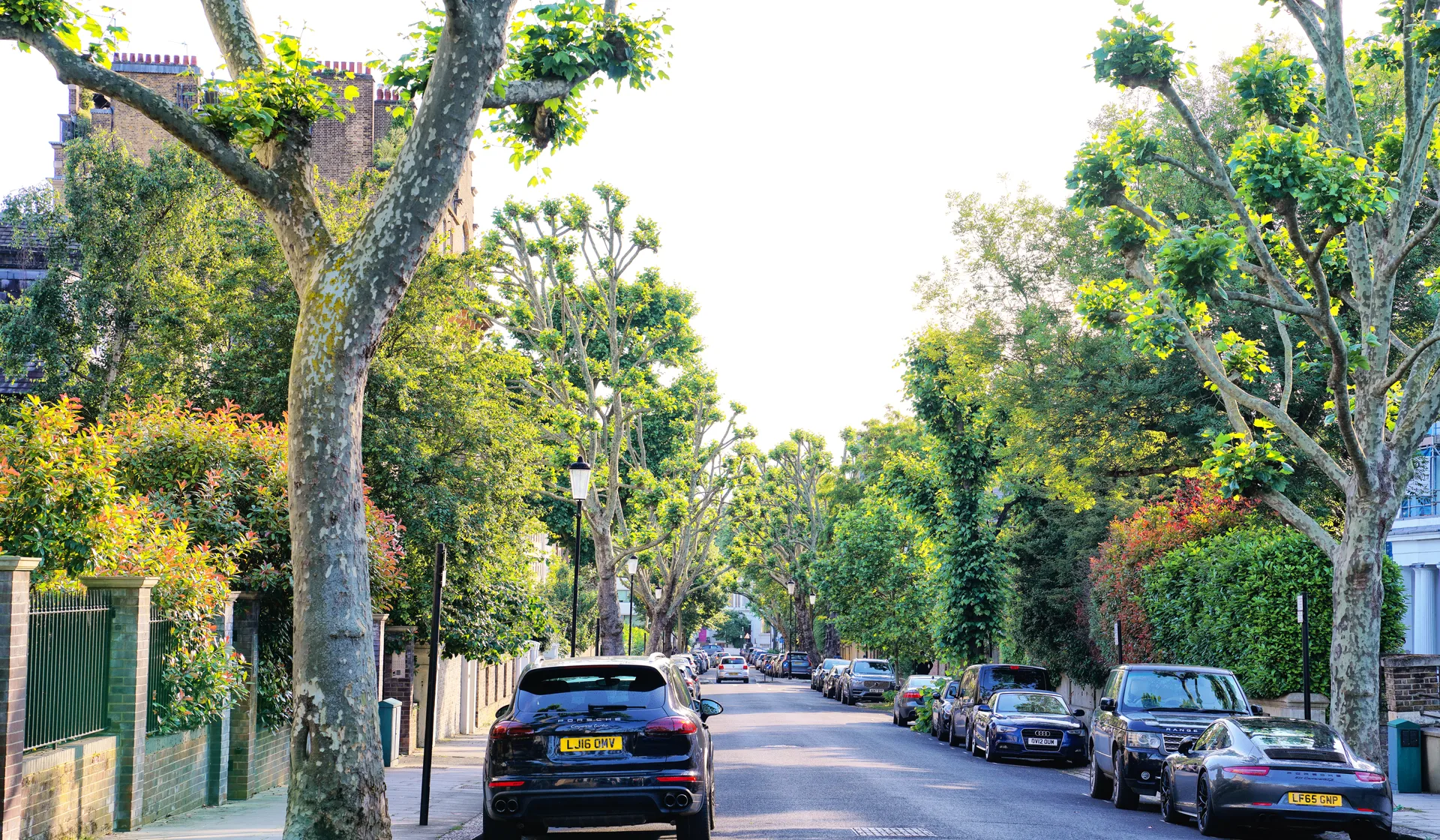 A black luxury car on a tree-lined residential street